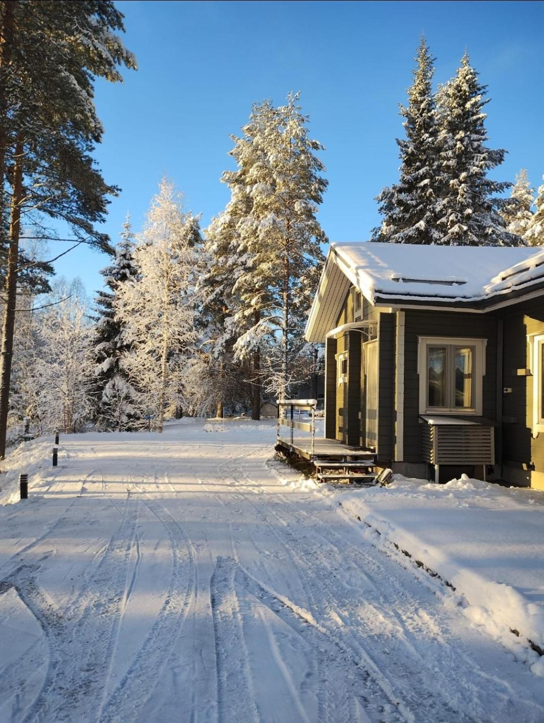 רובניימי Villa Aleksi With Sauna מראה חיצוני תמונה